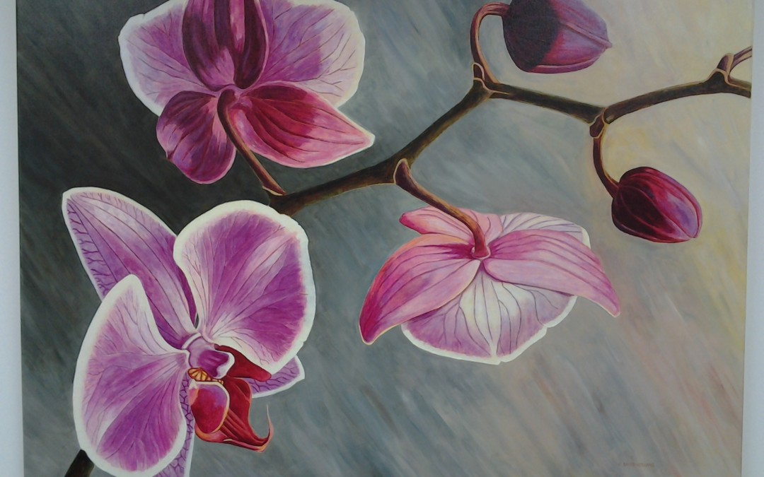 Orchids