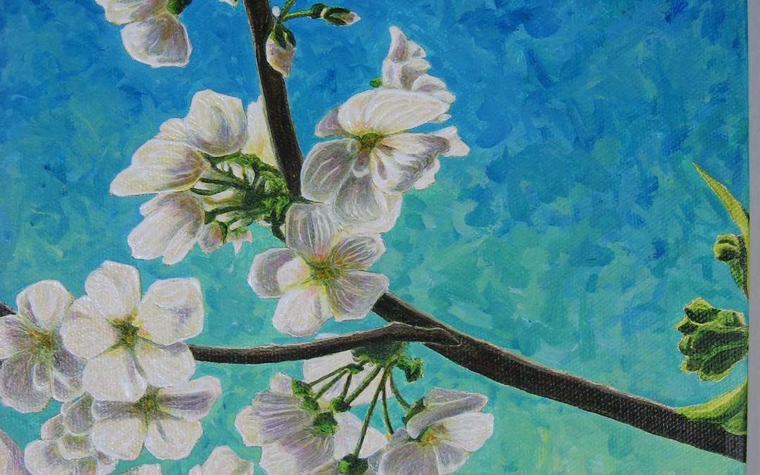 Spring Cherries
