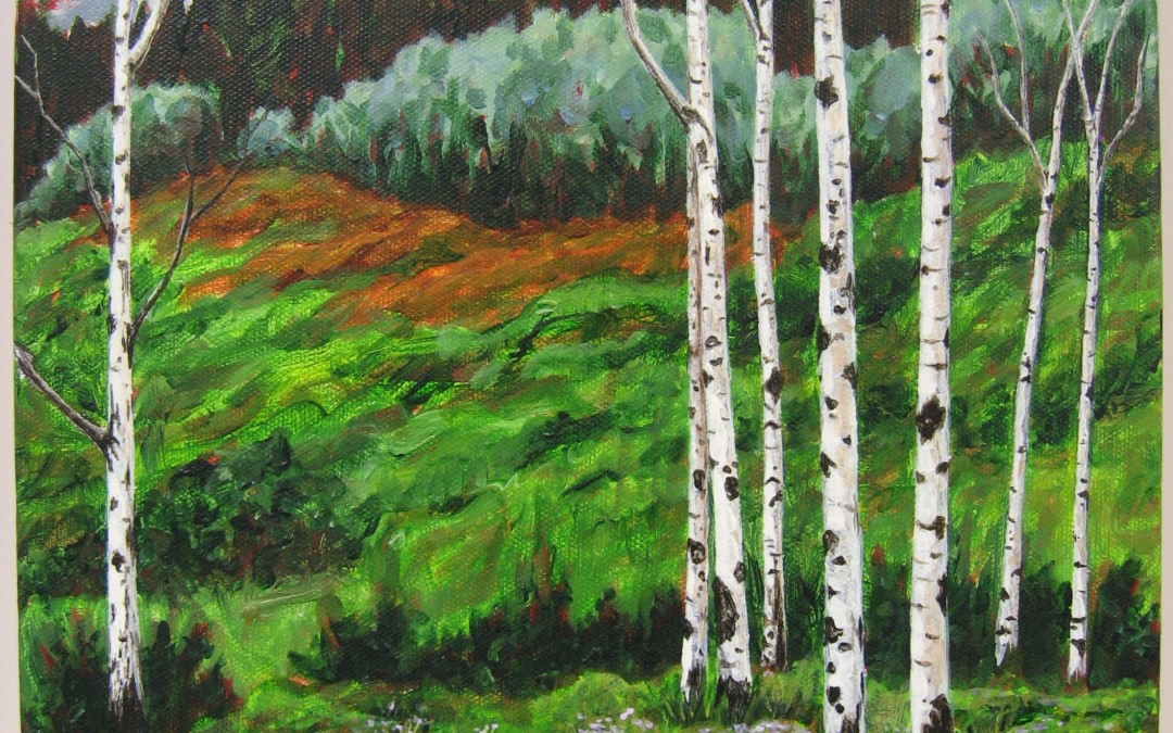 Summer Birches