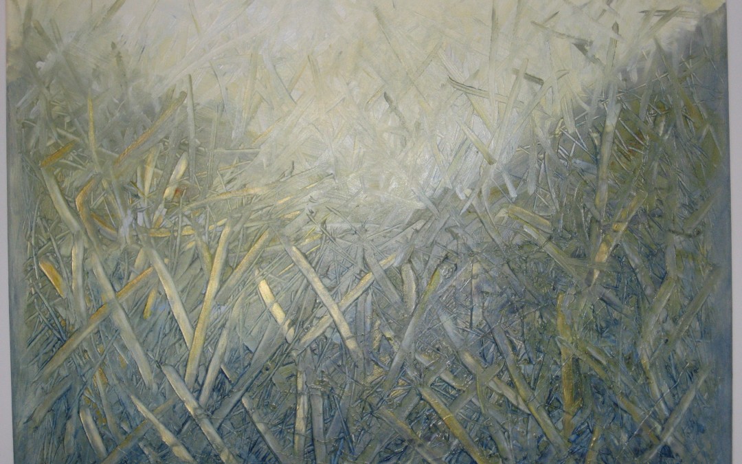 Canola Pods I