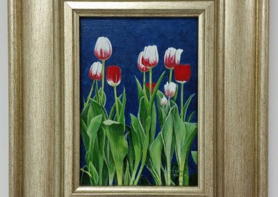 Tulips #1